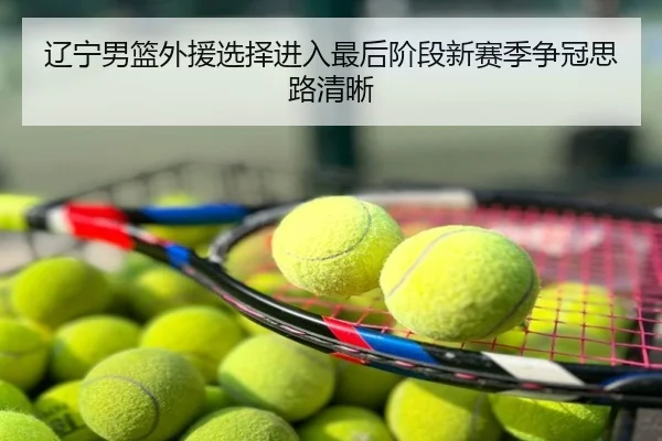 辽宁男篮外援选择进入最后阶段新赛季争冠思路清晰