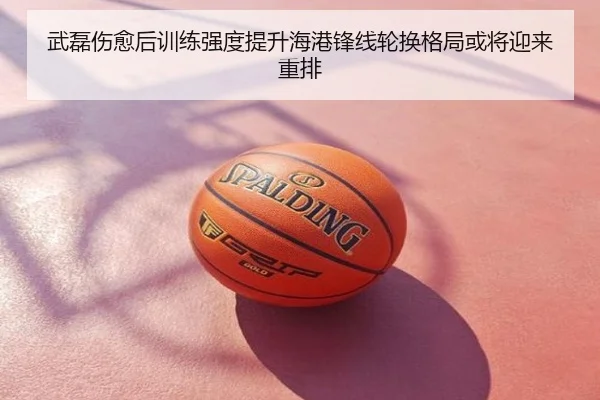 武磊伤愈后训练强度提升海港锋线轮换格局或将迎来重排